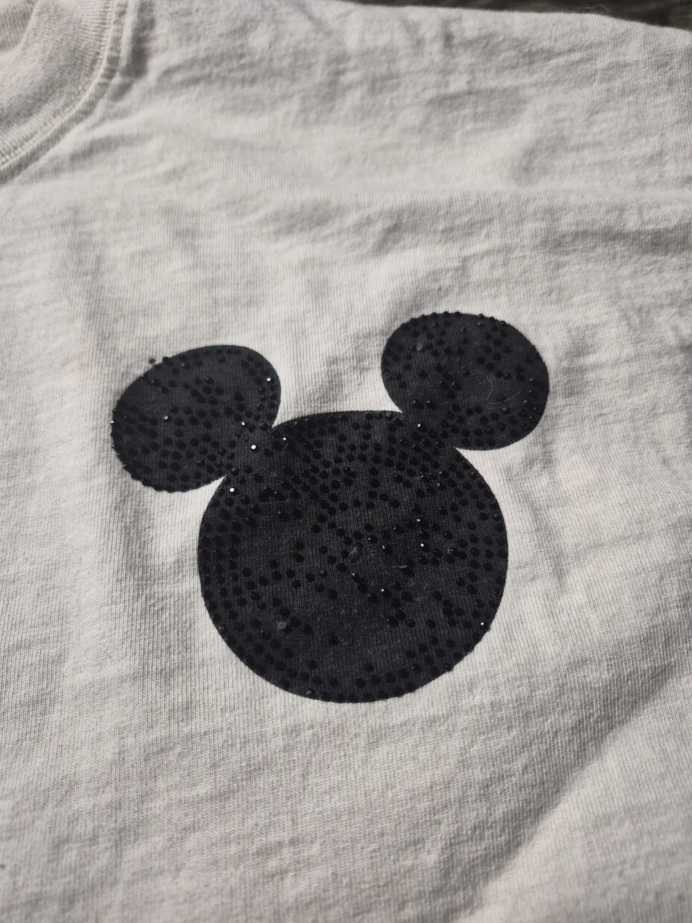 PALACE shoe disney